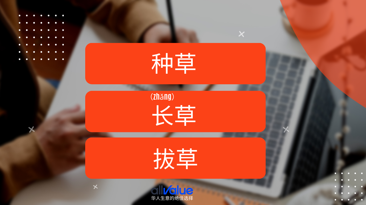 內(nèi)容與商業(yè)相遇：小紅書，2023海外華人商家一定要抓住的商業(yè)風向